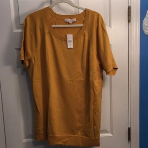 Loft Plus 20/22 short sleeve sweater gold